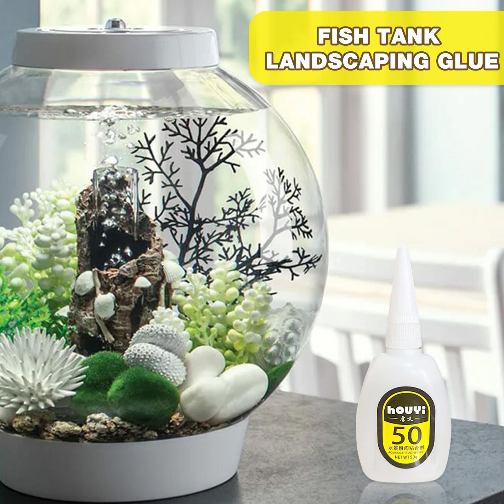 50/100g 투명 순간접착제 아쿠아스케이핑 방수 수족 - Planted Aquarium Aquascape 리뷰 및 가격