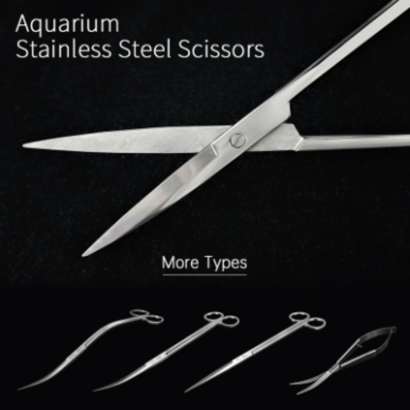 위크 아쿠아 스테인리스 스틸 수초 가위 시리즈, 어항  - Planted Aquarium Products 리뷰 및 가격