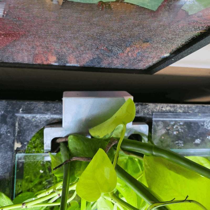 어항 측면 식물 거치대 수경재배 홀더 장식 랙 - Aquarium Plant Ornament 리뷰 및 가격
