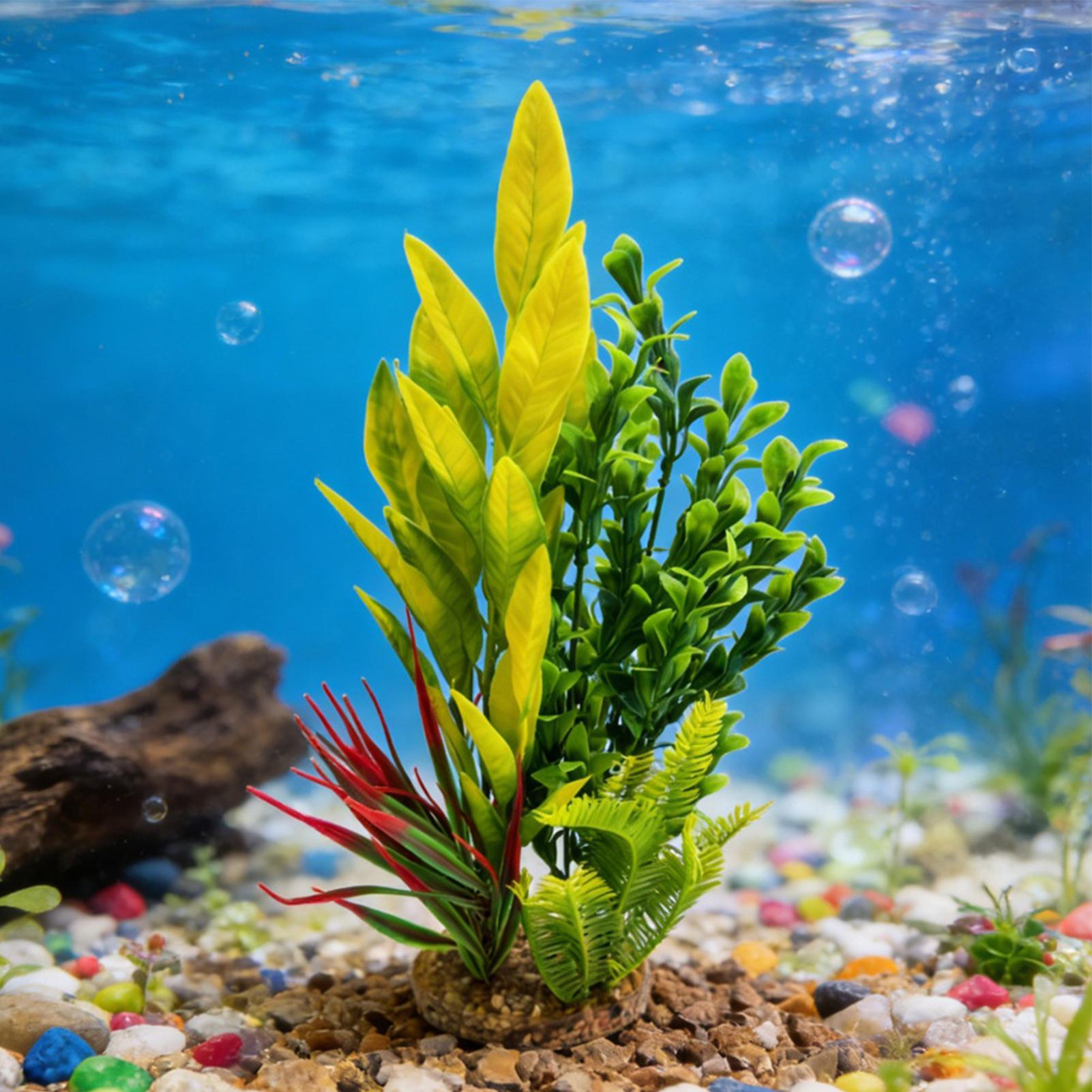 인공 수족관 식물 새우 수조 장식 베타 수조 장식 사육 - Planted Aquarium For Betta 리뷰 및 가격