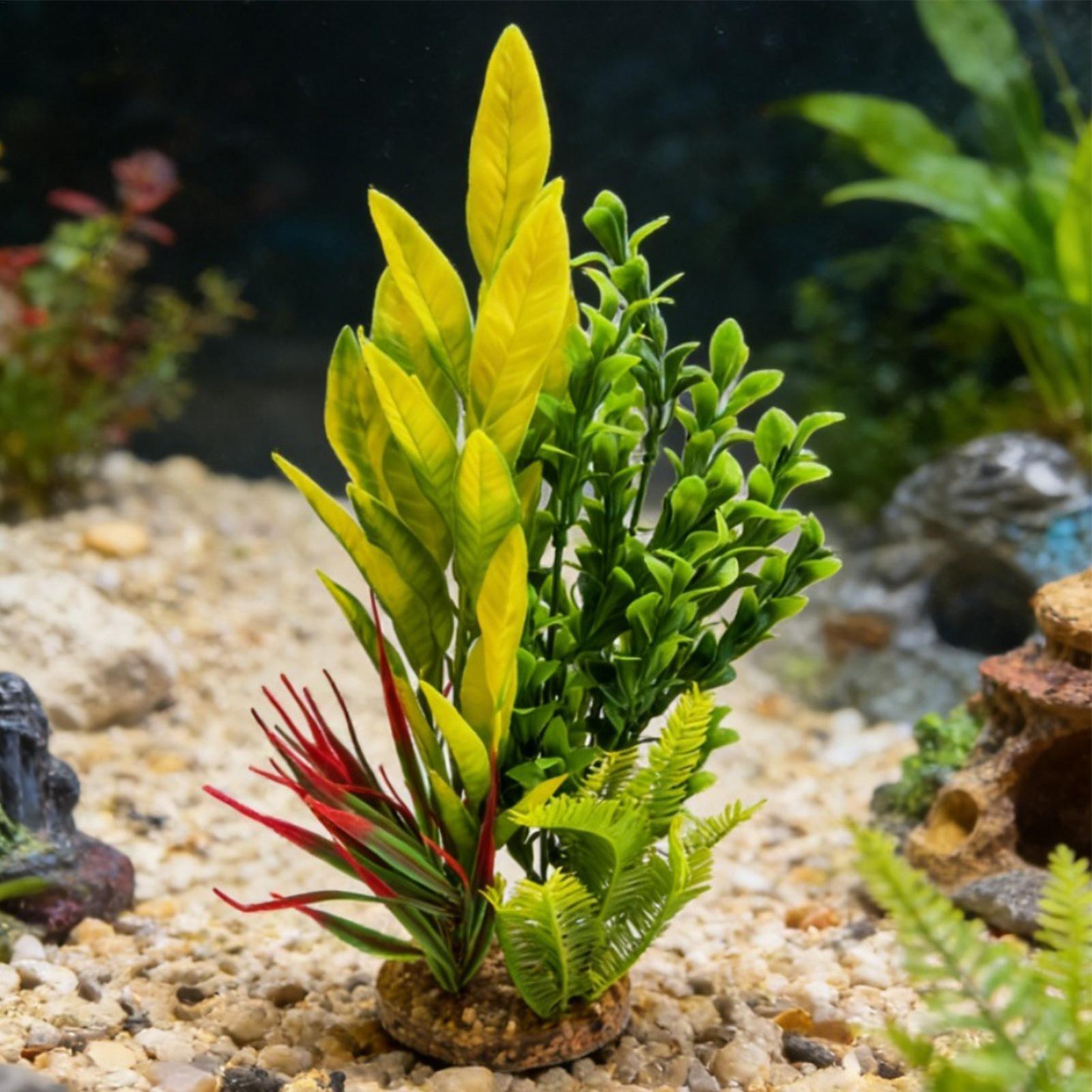 인공 수족관 식물 새우 수조 장식 베타 수조 장식 사육 - Planted Aquarium For Betta 리뷰 및 가격