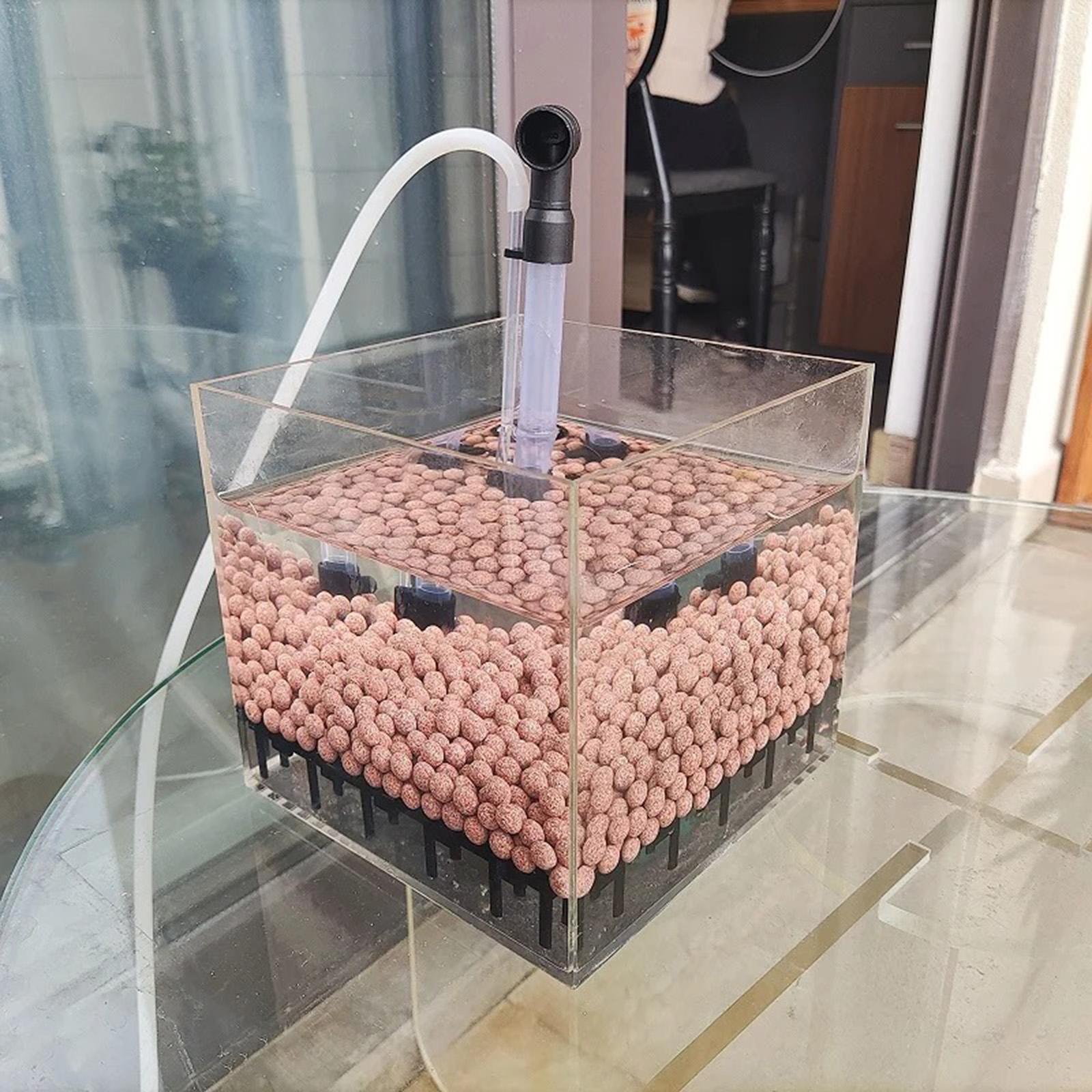 수족관 필터 박스 사각형 투명 아크릴 언더그레이블 필터 - Planted Aquarium Undergravel Filter 리뷰 및 가격