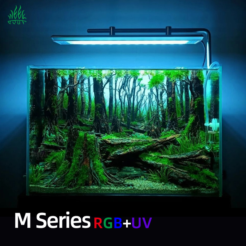 위카쿠아 M300/M400/M450 D1 PRO 특가  - Planted Aquarium Aquascape 리뷰 및 가격