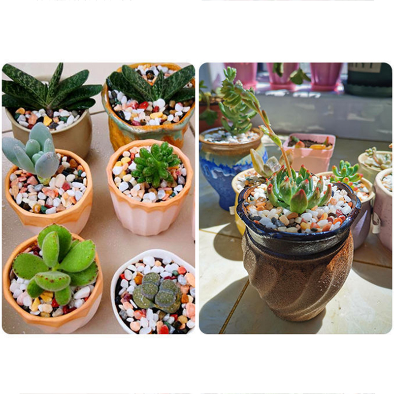 천연 자갈석 200~1000g 마이크로 조경 정원 수족 - Planted Aquarium With Sand 리뷰 및 가격