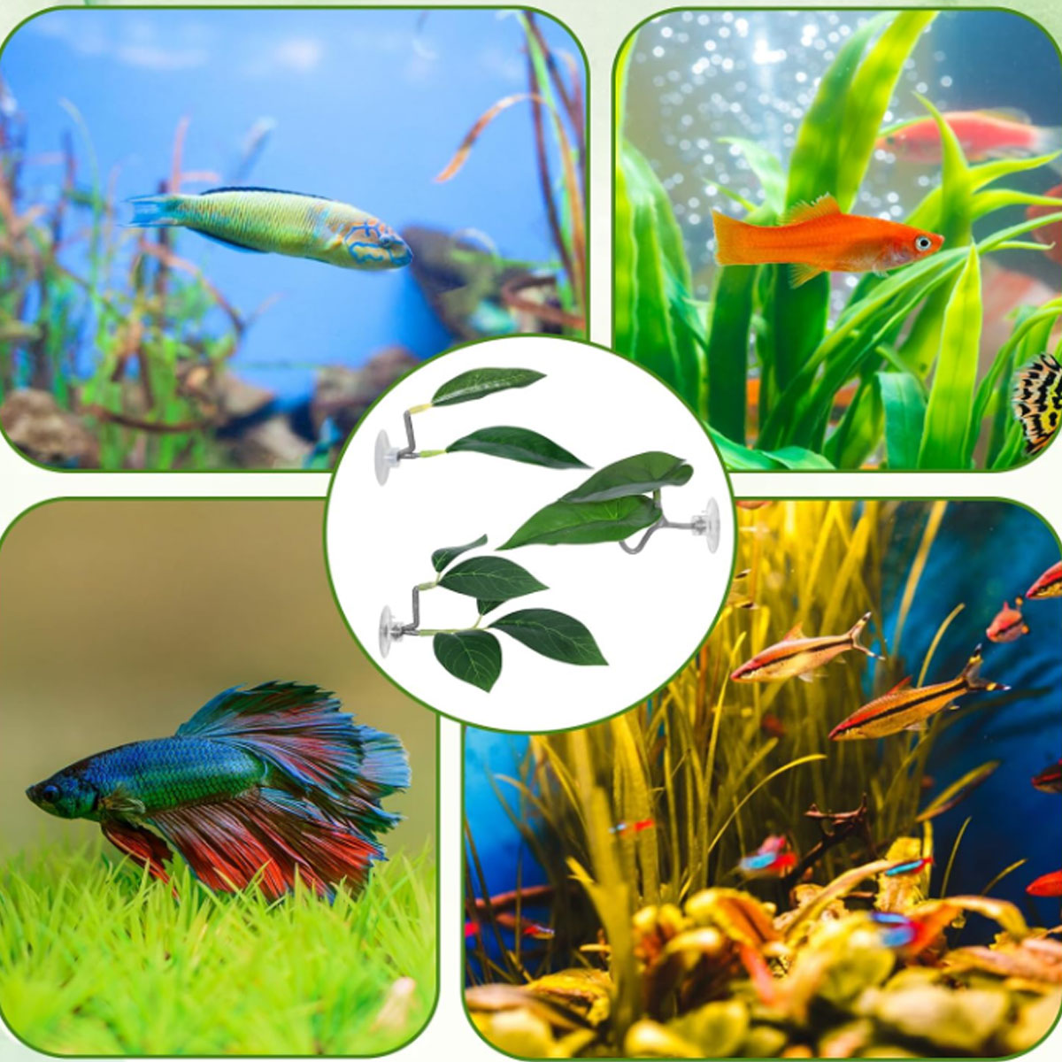1 PC 베타 물고기 해먹 부드러운 수족관 장식 플라스 - Planted Aquarium For Betta 리뷰 및 가격