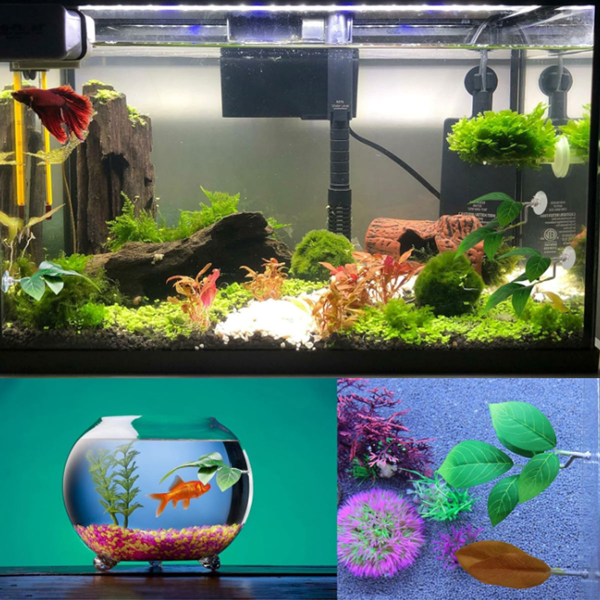 1 PC 베타 물고기 해먹 부드러운 수족관 장식 플라스 - Planted Aquarium For Betta 리뷰 및 가격
