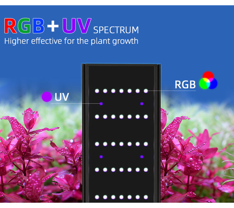WEEK AQUA L 시리즈 앱 제어 조광기 및 타이머 - Aquarium Planted Tank Light 리뷰 및 가격