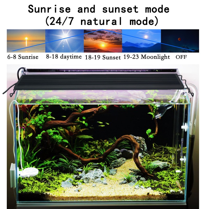 LED 어항 조명 풀 스펙트럼 식물/어초 수족관 램프  - Aquarium Planted Tank Light 리뷰 및 가격