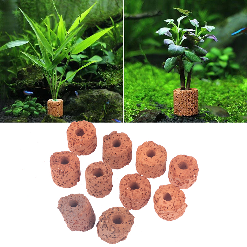 10개입 식물 링 수족관 고정용 물탱크 필터 무게추 홀 - Planted Aquarium Products 리뷰 및 가격
