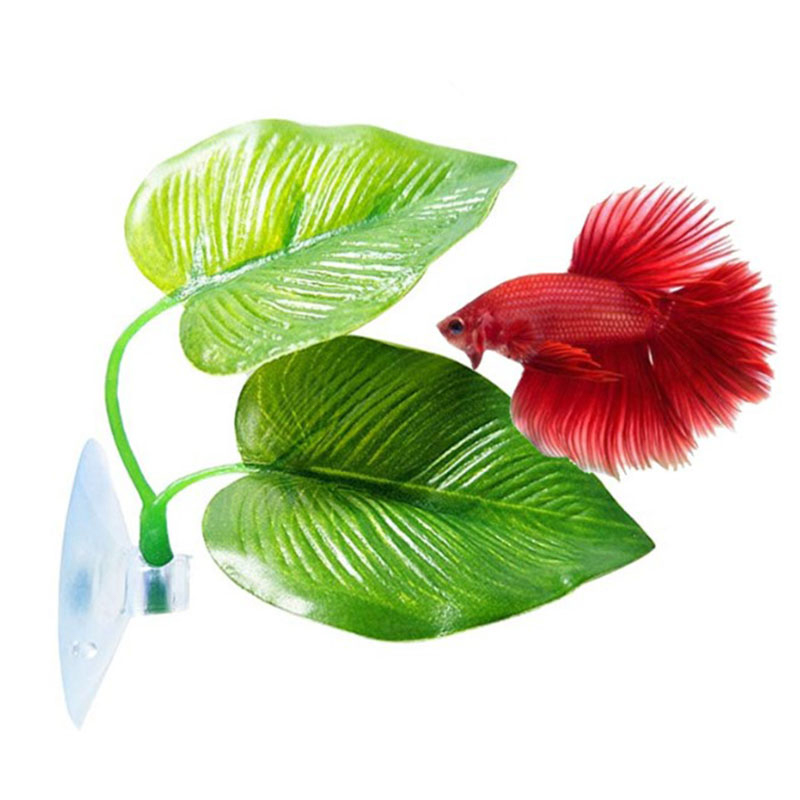 베타 물고기 휴식 수족관 잎 식물 장식 낳기용 장식 식 - Planted Aquarium For Betta 리뷰 및 가격