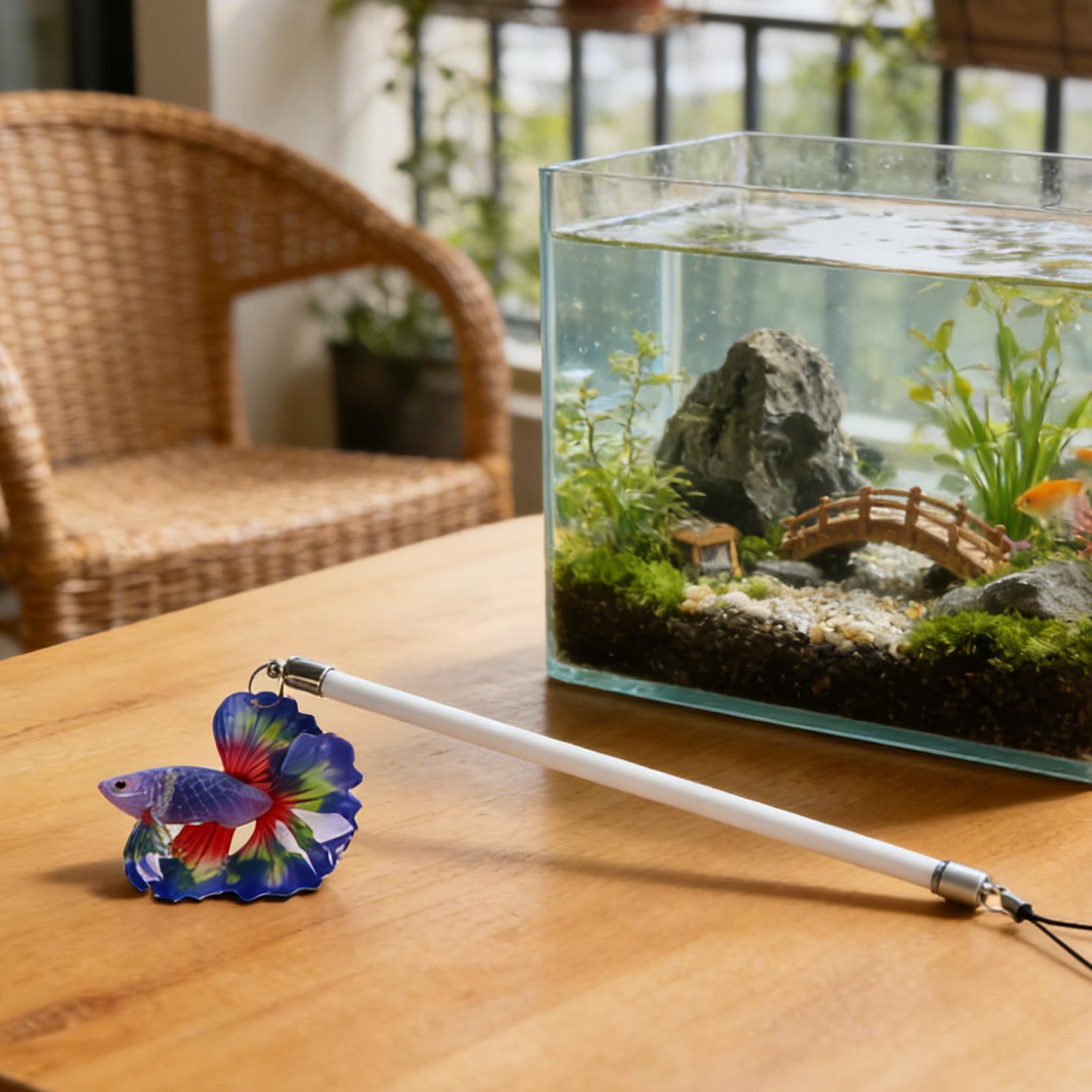 베타 물고기 훈련용 막대, 인터랙티브 엔리치먼트, 사실 - Planted Aquarium For Betta 리뷰 및 가격