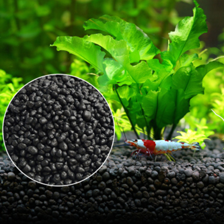 수족관 식물 씨앗 토양 어항 기판 모래 토양 비료 진흙 - Planted Aquarium With Sand 리뷰 및 가격
