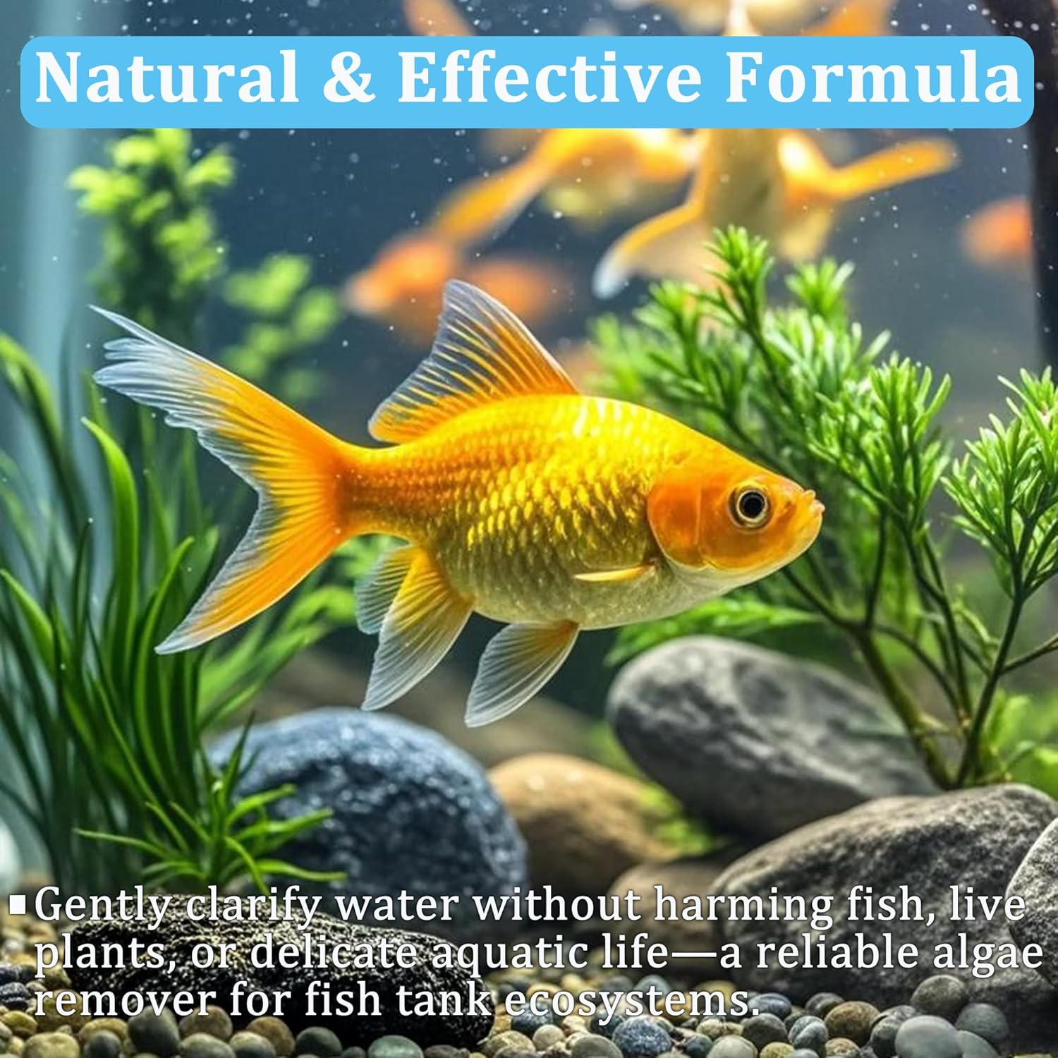 수족관 물 정화 정제 어항 탁월한 투명도 개선 탁월한  - Aquarium Plant Nutrients 리뷰 및 가격