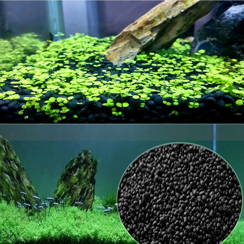 물고기 모래 Auarium 기판 100g 다육 식물을위 - Planted Aquarium With Sand 리뷰 및 가격