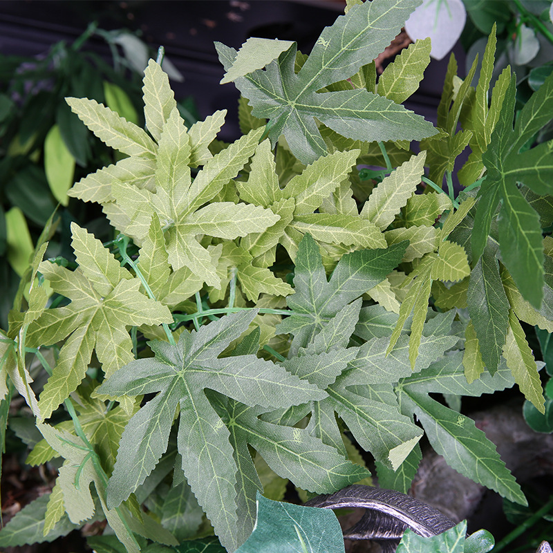 레프티주 파충류 테라리움 및 수족관용 인조 식물, 도마 - Aquarium Plant Vine 리뷰 및 가격