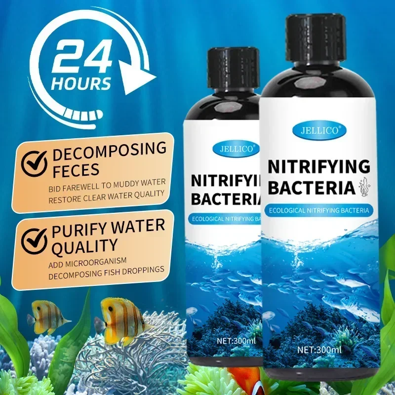 300ml 니트라이징 박테리아 액체 물고기 탱크 정수기 - Aquarium Plant Nutrients 리뷰 및 가격