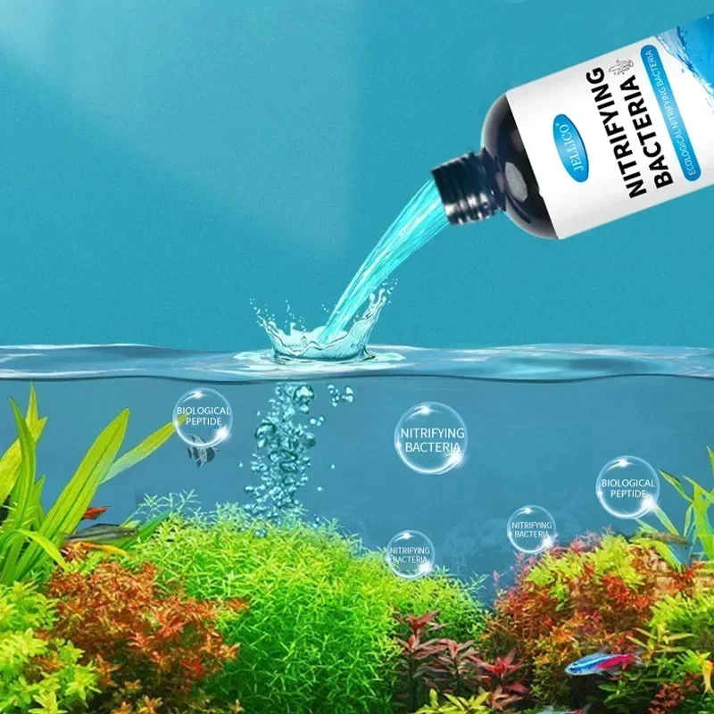 300ml 니트라이징 박테리아 액체 물고기 탱크 정수기 - Aquarium Plant Nutrients 리뷰 및 가격
