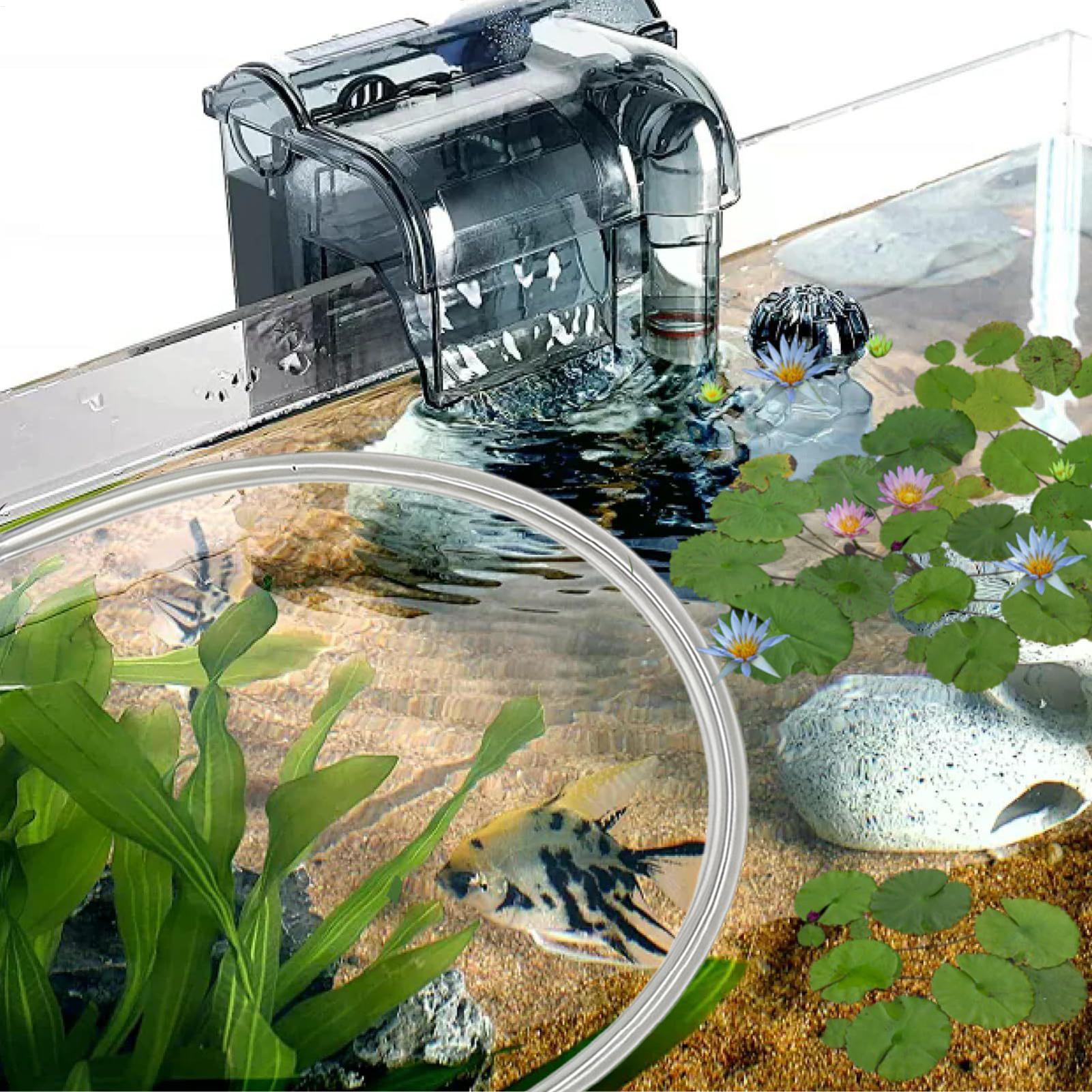 수족관 부유식 식물 차단막 자동 높이 조절식 부유식 식 - Planted Aquarium For Betta 리뷰 및 가격