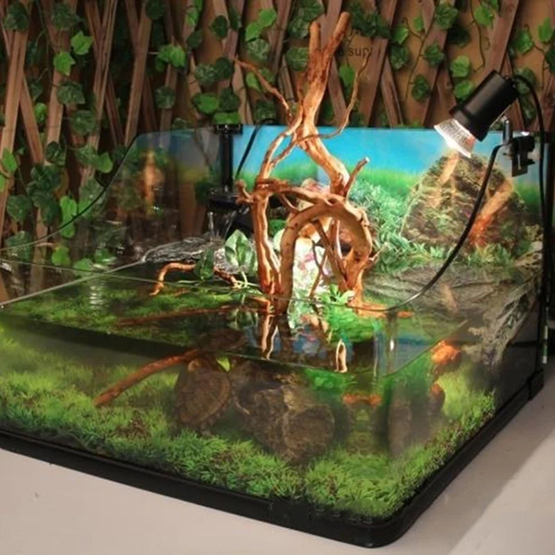 천연 나무 줄기 유목 수족관 물고기 탱크 파충류 실린더 - Planted Aquarium Making 리뷰 및 가격