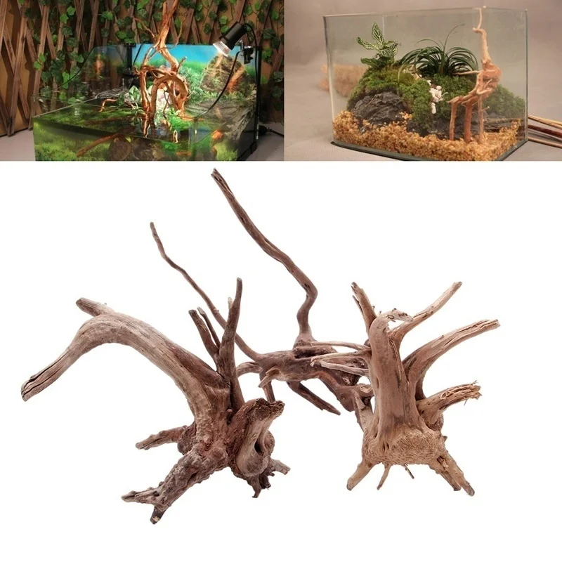 천연 나무 줄기 유목 수족관 물고기 탱크 파충류 실린더 - Planted Aquarium Making 리뷰 및 가격
