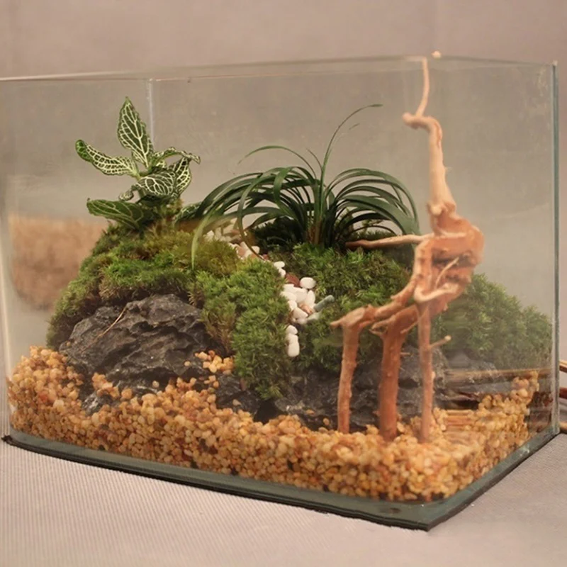 천연 나무 줄기 유목 수족관 물고기 탱크 파충류 실린더 - Planted Aquarium Making 리뷰 및 가격