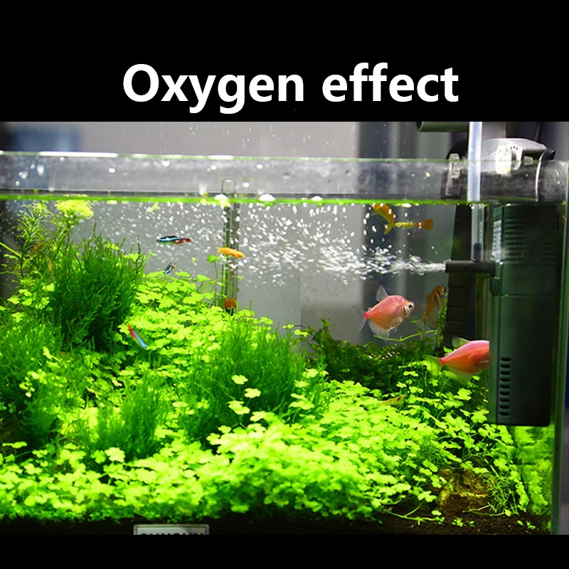 SUNSUN 미니 나노 수중 산소 펌프, 물고기 거북이 - Planted Aquarium Products 리뷰 및 가격